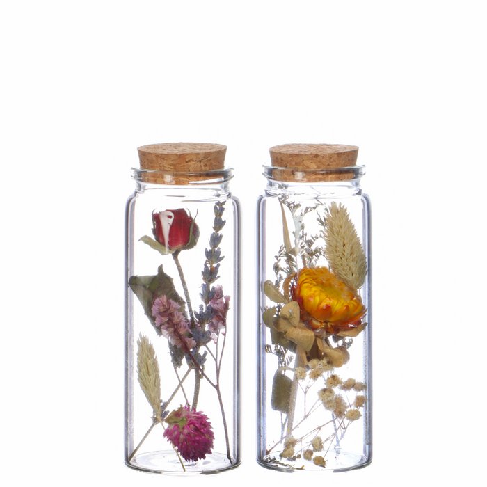 Droogbloemen duo L